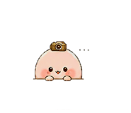 843754262