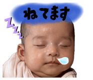 843754528