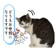 843754593