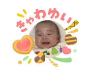 843755076