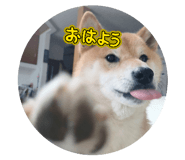 843755294