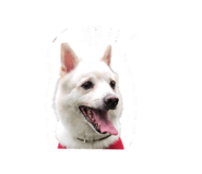843755377
