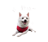 843755379