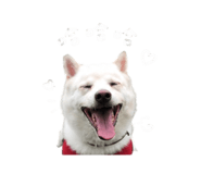 843755383