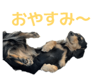 843755531