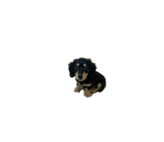843755532
