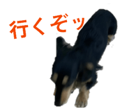 843755537