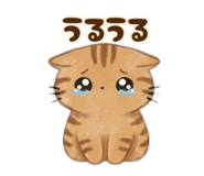 843756125