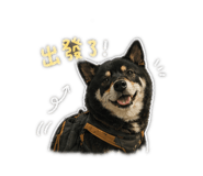 843756474