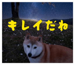 843756508