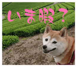 843756522