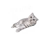 843756601