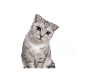 843756602