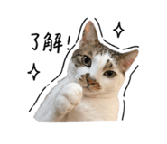 843756803