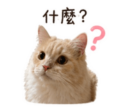 843756980