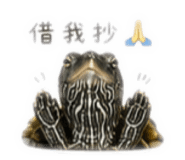 843757575