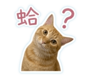 843757670