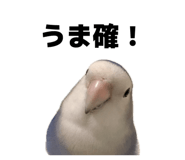 843758033