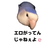 843758035