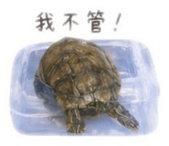 843758127