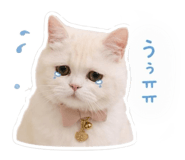 843758237