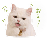 843758240