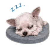 843758306