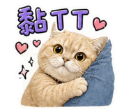 843758746