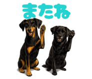 843758884
