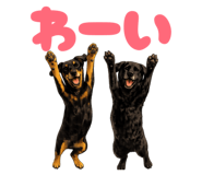 843758888