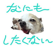 843759026
