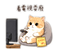 843759715