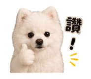 843760039