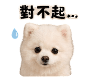843760045