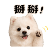 843760046
