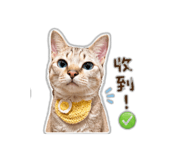 843760110