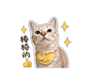 843760119
