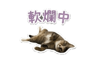 843760771