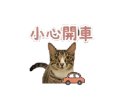 843760774