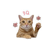 843760780