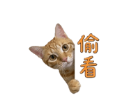843760782