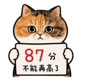 843761336