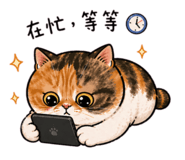 843761362