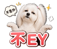 843761640