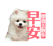 843762066