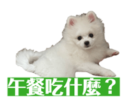 843762067