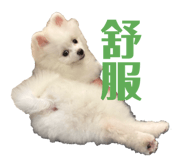 843762071