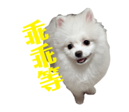843762073