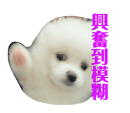 843762075