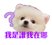 843762078